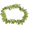 Peridot faceted beads bracelet