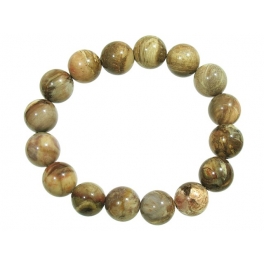 Petrified Wood round beads bracelet Petrified Wood round beads bracelet