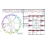 2025 Personal Fortune Analysis