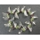 White Quartz Crystal faceted beads bracelet